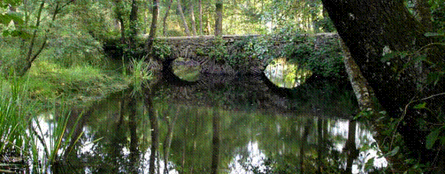 PONTE DE PONTE PUÑIDE