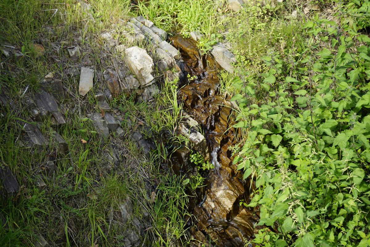 cascada